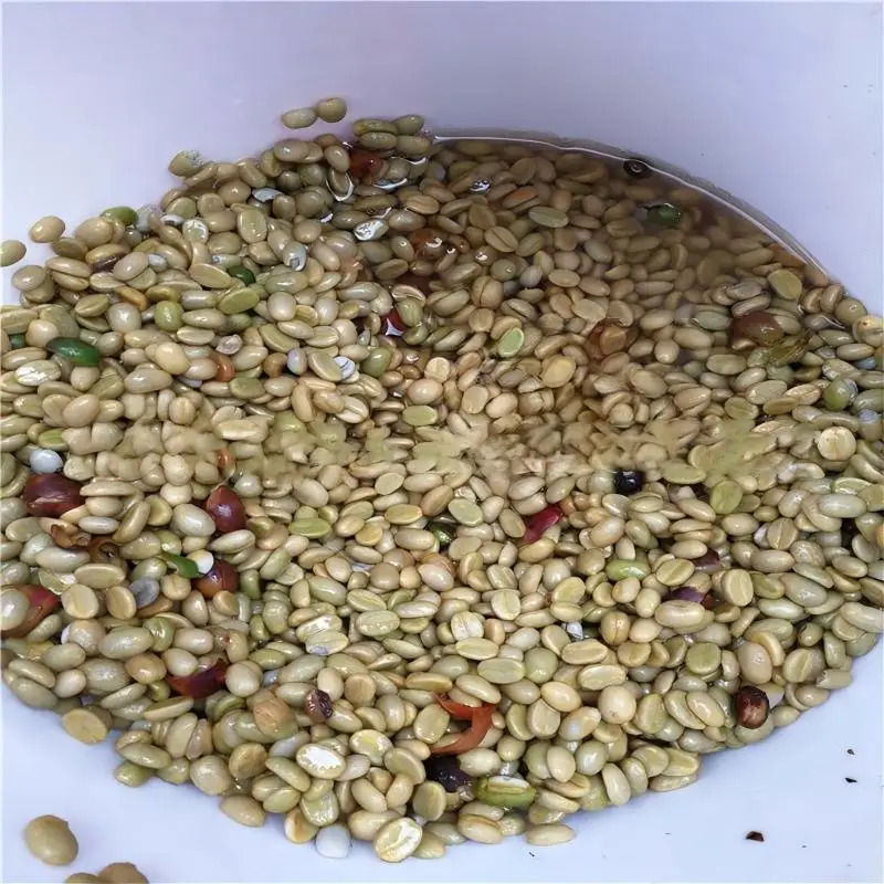 Birui High Productivity Stainl – Coffee Equipment China Bewertung und Preis